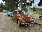 IMG_8203.jpg