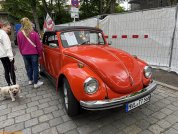 IMG_8215.jpg
